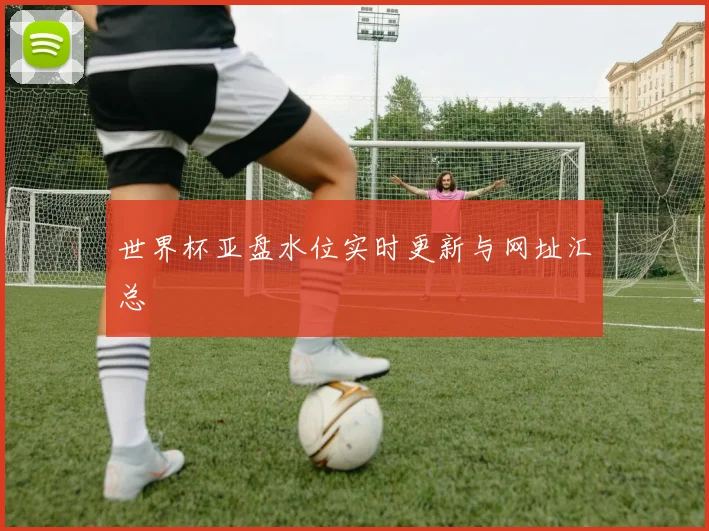 世界杯亚盘水位实时更新与网址汇总