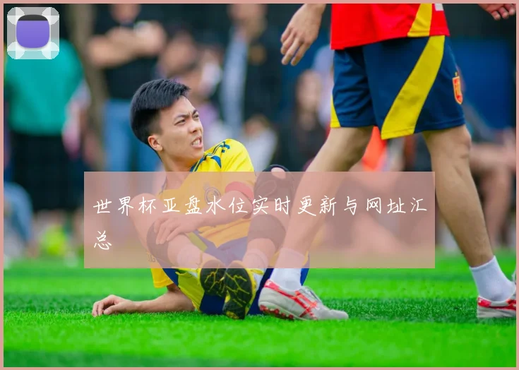 世界杯亚盘水位实时更新与网址汇总